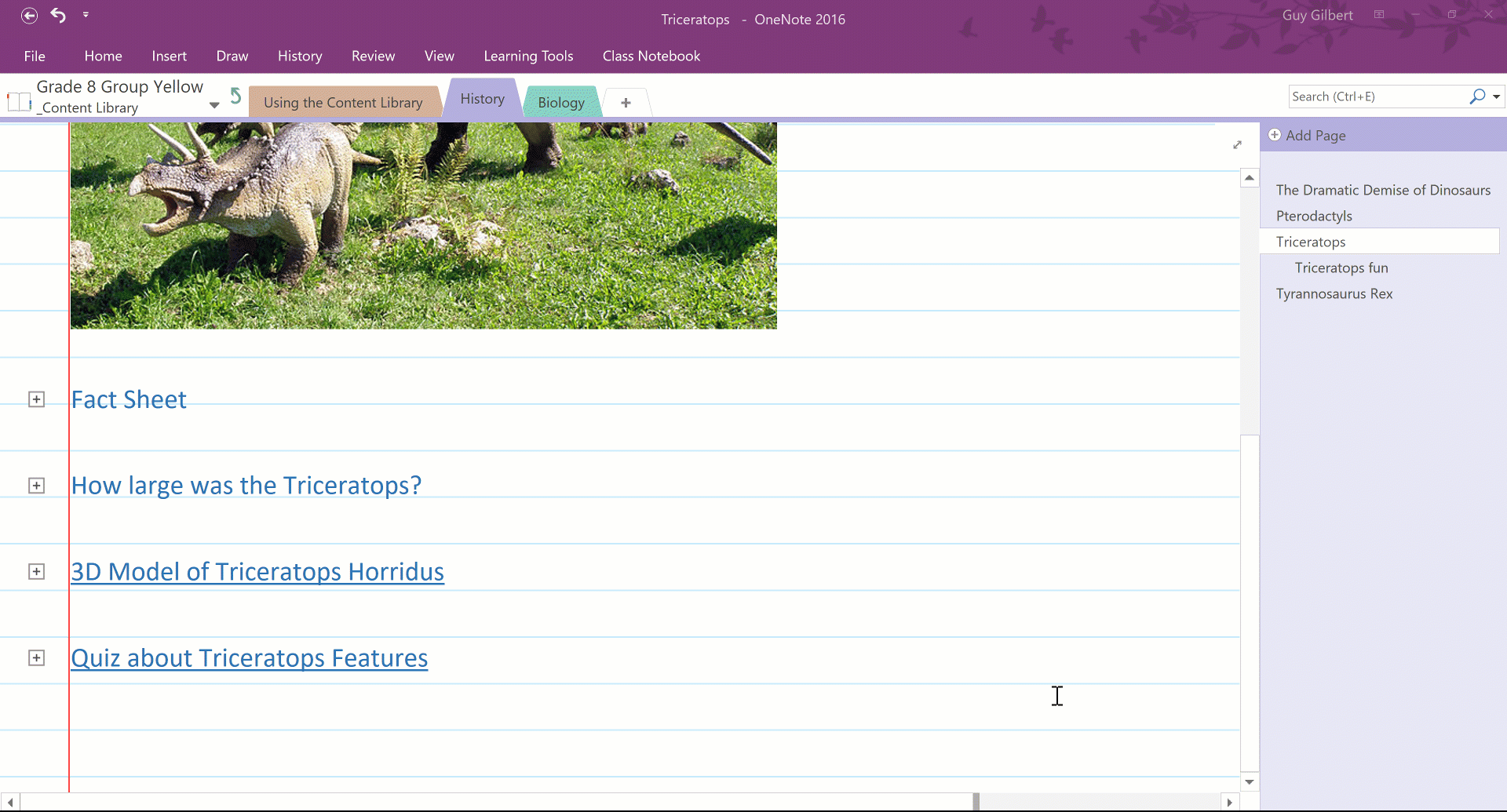 OneNote as a whiteboard collapse